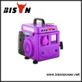 BISON(CHINA) small generator for camping